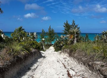 the-bahamas/eleuthera/attraction/fran-fab-tree