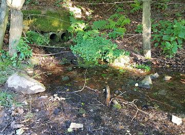 germany/sauerland/attraction/sorpequelle