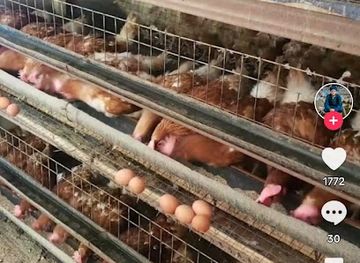 ethiopia/gondar/attraction/arada-menaafesha