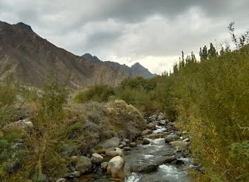 pakistan/deosai-national-park/attraction/manthal-buddha-rock