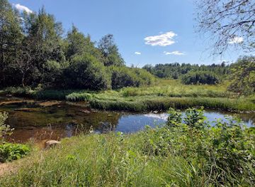 estonia/viljandimaa/attraction/sinialliku-matkarada