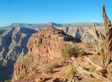arizona/havasu-falls/attraction/guano-point