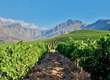 south-africa/cape-town/attraction/oldenburg-vineyards