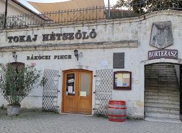 hungary/nyiregyhaza/attraction/rakoczi-pince