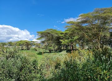 tanzania/ngorongoro-conservation-area/attraction/picknic-site