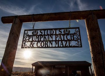 colorado/grand-junction/attraction/studt-s-pumpkin-patch-and-corn-maze