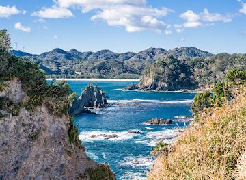 japan/izu/attraction/cape-tarai