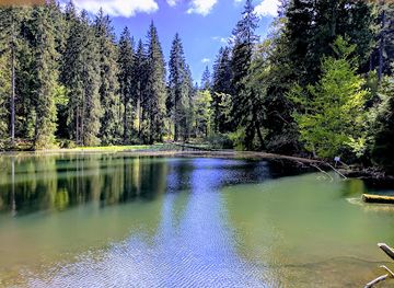 germany/thuringian-forest/attraction/finsteres-loch