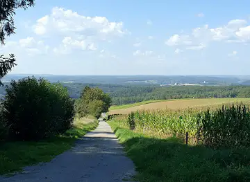 Scenic Viewpoint