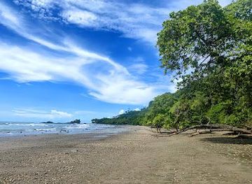 costa-rica/manuel-antonio/attraction/playa-dominicalito