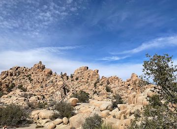 california/joshua-tree/attraction/hidden-valley-nature-trail-trailhead