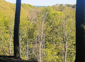 denmark/frederikshavn/attraction/vandvarksskoven