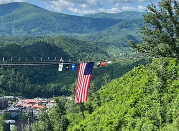 tennessee/hatchie-river-area/attraction/skybridge
