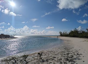 the-bahamas/eleuthera/attraction/plum-creek-beach
