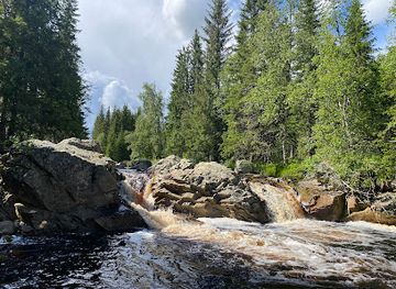 norway/hedmark/attraction/hedmarksvidda-husky