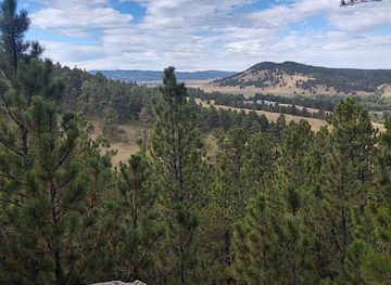 south-dakota/badlands/attraction/black-hills-petrified-forest