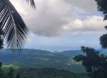 jamaica/port-maria/attraction/imperial-herbs-limited