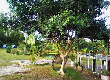 madagascar/fort-dauphin/attraction/le-jardin-exotique-fort-dauphin