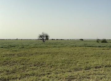 india/jaisalmer/attraction/desert-national-park-safari