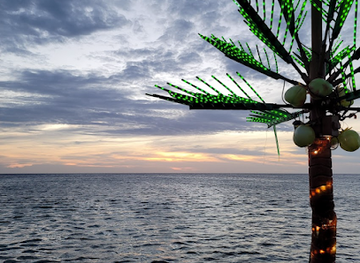 honduras/bay-islands/attraction/mono-loco-tours-roatan-honduras