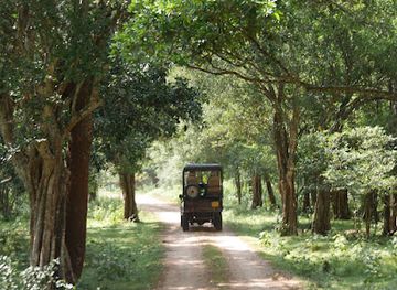 sri-lanka/udawalawe-national-park/attraction/pinnacle-safari-udawalawe