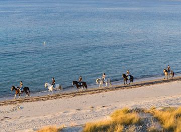 greece/kos/marmari/attraction/erikas-horse-farm-kos-horse-riding