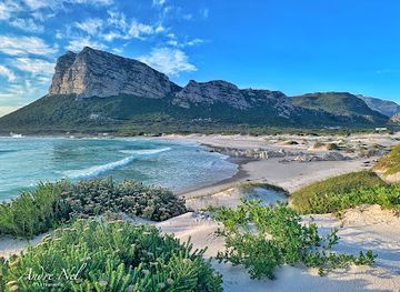south-africa/overberg/attraction/moonlight-beach