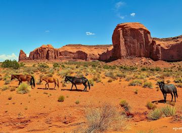 arizona/monument-valley/attraction/john-wayne-cabin