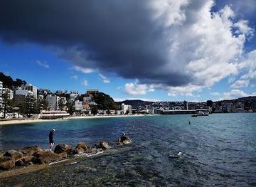 new-zealand/wellington/attraction/wellington-waterfront-walk