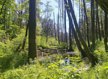 poland/zegrze-reservoir/attraction/mokradla