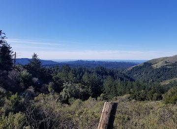 california/redwood-national-and-state-parks/attraction/los-trancos-open-space-preserve