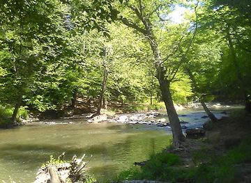 north-carolina/nantahala-national-forest/attraction/paddle-inn-rafting-company