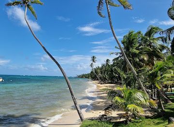nicaragua/pearl-cays/attraction/floo-beach