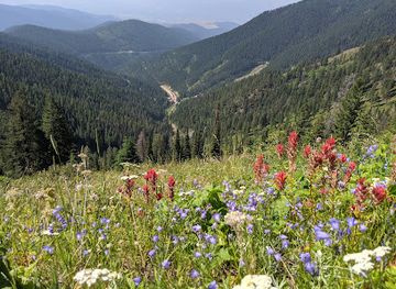 montana/missoula/attraction/snowbowl