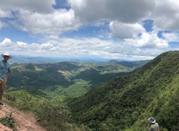 bolivia/amboro-national-park/attraction/mirador-bosque-helechos-gigantes