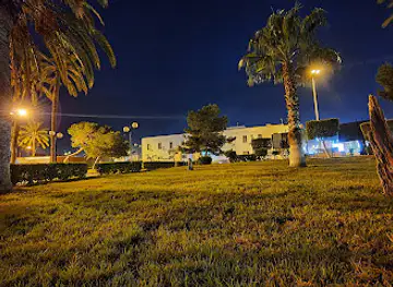 Downtown Garden