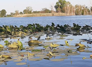 ohio/great-black-swamp/attraction/black-swamp-bird-observatory