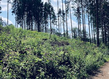 luxembourg/eislek/attraction/mam-robi-duerch-de-besch-startpunkt