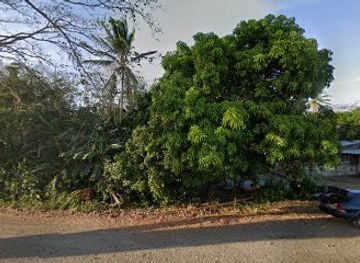 panama/pedasi/attraction/sigua