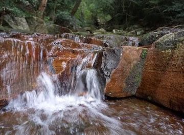 sri-lanka/sigiriya/attraction/pitawala-nature-trail