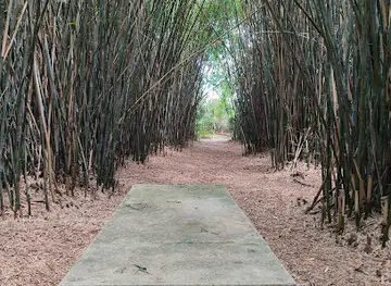 Quinta Capurro