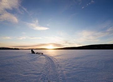 sweden/swedish-lapland/attraction/wild-lapland
