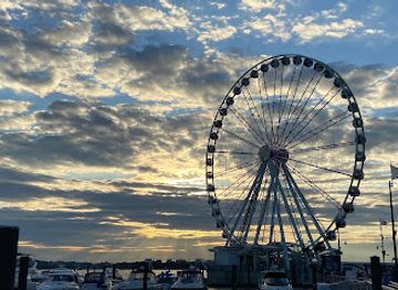 virginia/northern-virginia/attraction/the-awakening