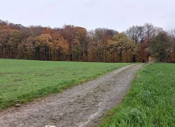 belgium/durbuy/attraction/bois-de-vine