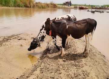 pakistan/punjab/attraction/jehlum-view-point