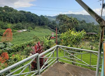 trinidad-and-tobago/mayaro/attraction/heights-of-aripo-hummingbird-sanctuary