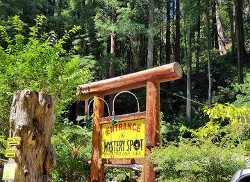 california/redwood-national-and-state-parks/attraction/the-mystery-spot