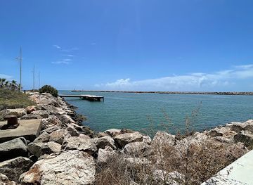 portugal/vilamoura/attraction/immersivus-gallery-algarve