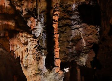 france/midi-pyrenees/attraction/grotte-du-bosc