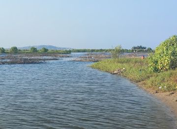 ghana/brong-ahafo/attraction/densu-delta-protected-area